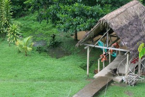 Amazon Eco-Lodge Ecuador