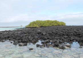Tortuga Bay