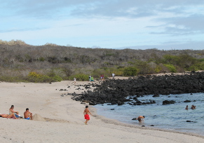 Surf lessons / beaches