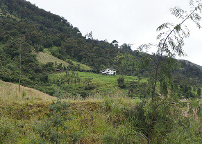 El Boliche Andean Forest